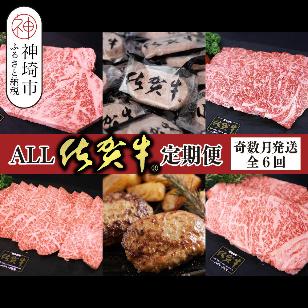【ふるさと納税】【奇数月発送 全6回定期便】ALL佐賀牛定期便【サーロインステーキ 赤身焼き肉 ハンバーグ カルビ焼肉 100%ハンバーグ ロースステーキ バラエティ豊か】(H118111)
