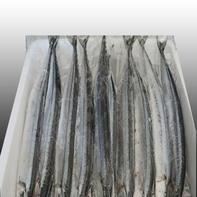 ふるさと納税 根室市 ＜12/21まで年内配送＞★冷凍さんま30尾 B-36005 |  | 01