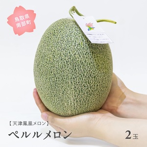 天津鳳凰メロン（ペルル・2玉）2025年7月出荷予定＜早期予約・数量限定＞