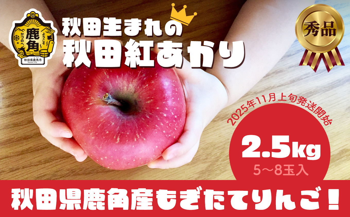 
                  《 先行予約 》秋田県鹿角産りんご 秀品 「 秋田紅あかり 」 約 2.5kg （5～8玉入）●2026年11月上旬発送開始 【ケーケー農園】かづのりんご 食感 果汁 さっぱり リンゴ 完熟 旬 県産りんご 林檎 お中元 お歳暮 贈り物 お見舞い グルメ ギフト 故郷 秋田 あきた 鹿角市 鹿角 送料無料
                