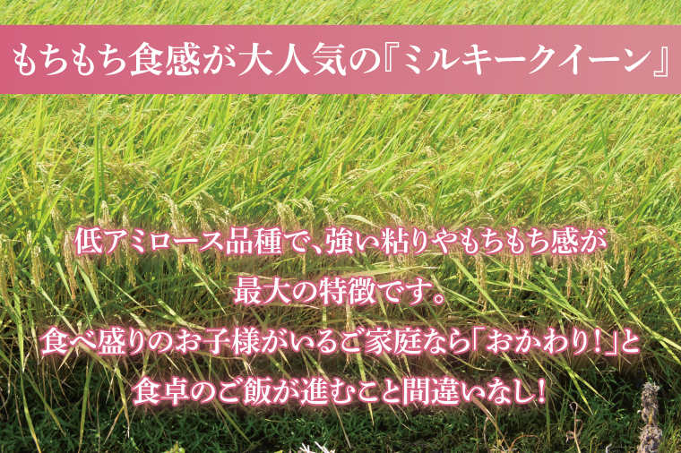 【人気2銘柄食べ比べ】令和7年産 茨城県産 ミルキークイーン・ふくまる　5kg×各1袋（計10kg）【お米 米 ごはん 茨城県】（03-67）