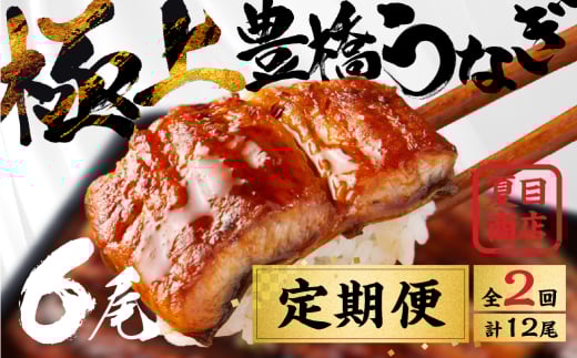 豊橋うなぎ 蒲焼 6尾 定期便 2回お届け 夏目商店 蒲焼 国産 国産うなぎ 蒲焼 長焼 ウナギ