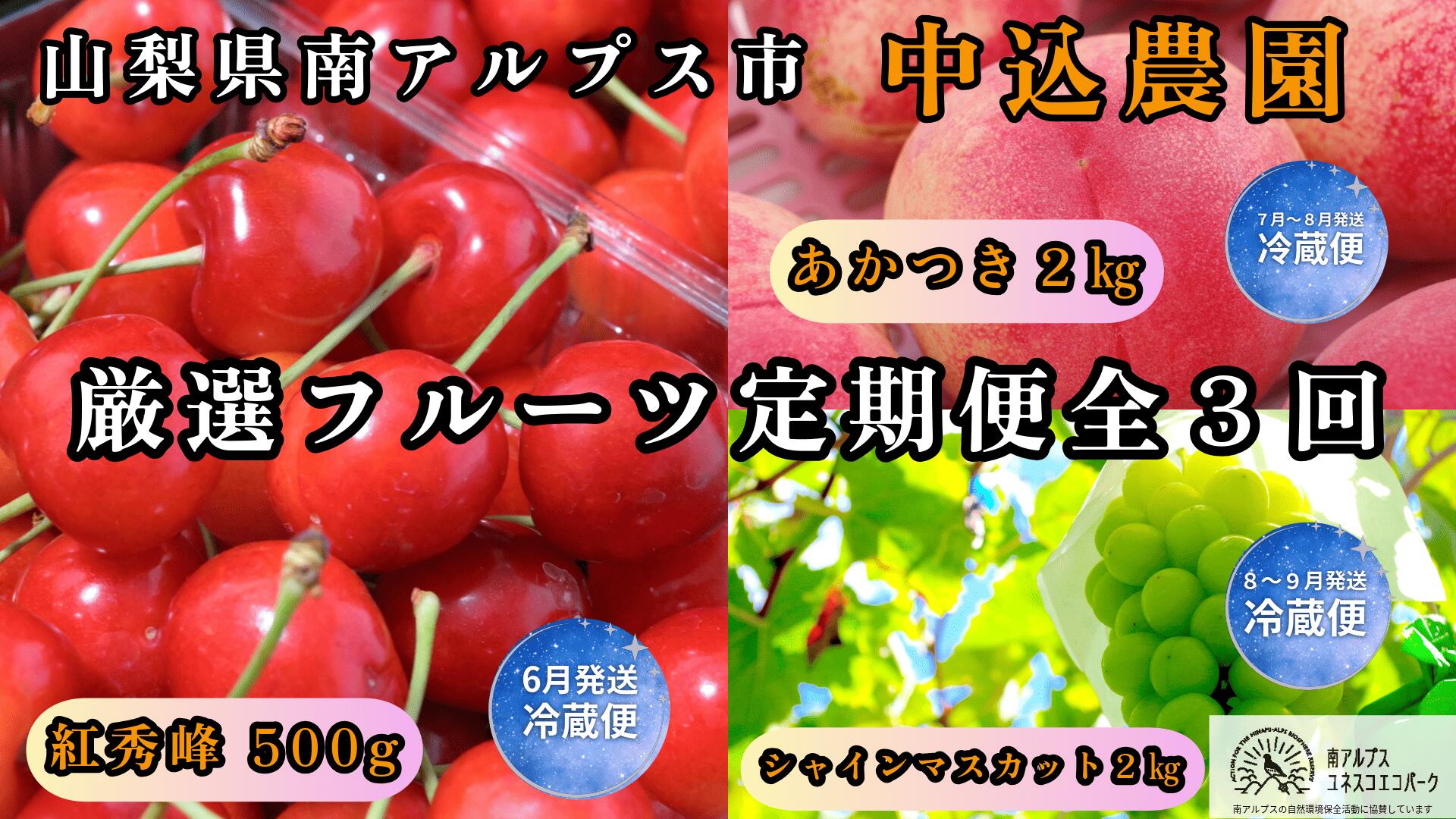 【ふるさと納税】＜2026年発送先行予約＞山梨県南アルプス市産 厳選フルーツ定期便全3回B(さくらんぼ・桃・シャインマスカット2kg)ふるさと納税 サクランボ シャイン もも 定期便 果物 フルーツ おすすめ 山梨県 南アルプス市 送料無料 ALPEM018