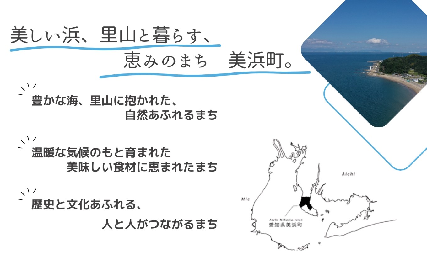 知多梅酒720ml