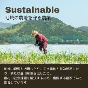 【10回定期便】丹波産の旬野菜セット 有機 野菜