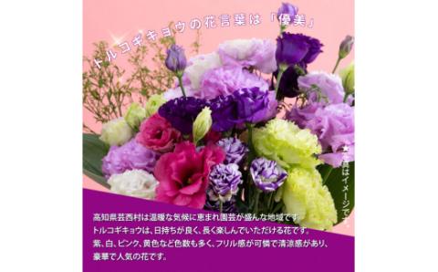 《先行予約》芸西村特産 トルコギキョウ花束（約10本程度の花束）