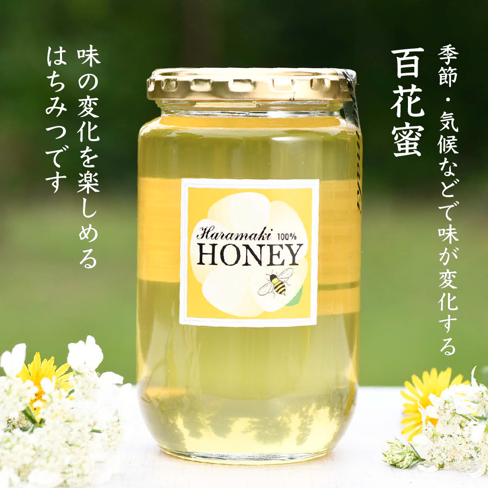 【数量限定】2025年産 国産天然蜂蜜（春の蜜）500g & 470g【合計970g】(H049114)