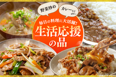  北海道産 豚肉 豚こま切れ 小分け 2kg ( 500g × 4P )