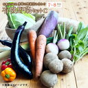 【ふるさと納税】有機JAS認定 季節の野菜詰め合わせ 有機野菜セットC 季節の有機野菜 7種類～8種類程度 おまかせ 詰め合わせ 農薬化学肥料不使用 朝どれ 新鮮野菜 安心 安全 国産 北海道 北広島市産 冷蔵 送料無料