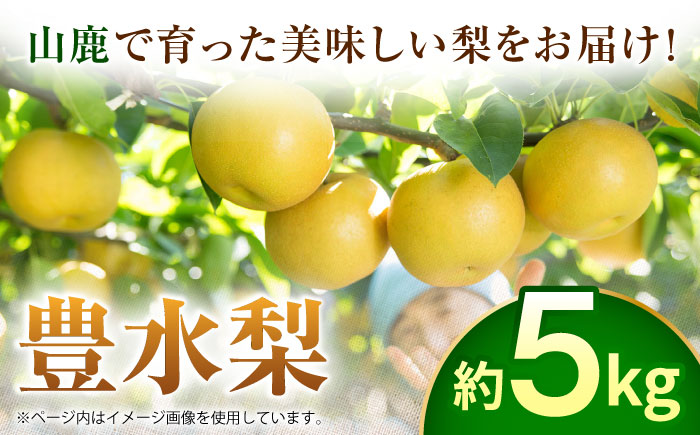 【先行予約】豊水梨　約5kg 梨 ナシ フルーツ 果物 【日本フルーツ株式会社】 [ZFJ013]