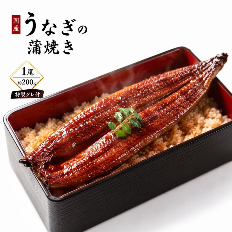 【ふるさと納税】【国産うなぎ】ふっくら香ばしい 鰻の蒲焼き 1尾 容量200g 特製タレ付 うなぎ ウナギ 蒲焼 うな重 温めるだけ 湯せん ギフト 贈り物