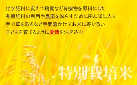 【令和5年産】【6ヶ月定期便】こしひかり 3kg × 6回 計 18kg【白米】減農薬・減化学肥料「特別栽培米」－地球にやさしいお米－[B-003002]
