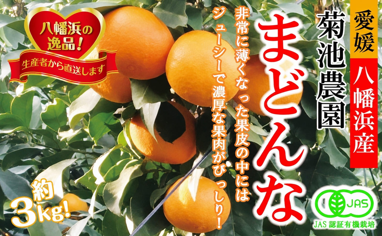 
                  【先行受付】【JAS認証有機栽培】こんな柑橘初めてプルプル新食感「まどんな」約3kg【D39-25】【1044609】 YWTF012
                