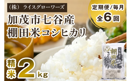 【令和7年産】【定期便6ヶ月毎月お届け】新潟県加茂市 七谷産 棚田米コシヒカリ 精米2kg 《順次出荷》白米 （株）ライスグローワーズ