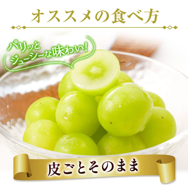 先行予約 シャインマスカット 3～4房 約2.4kg+100g補償付 宮崎県産【C433-25】_イメージ3