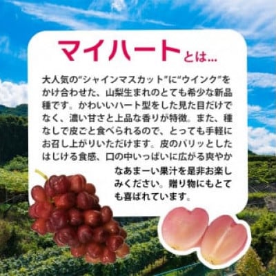 【2025年9月上旬より発送予定】マイハート1房 500g以上 ハート形のかわいい葡萄【配送不可地域：離島】