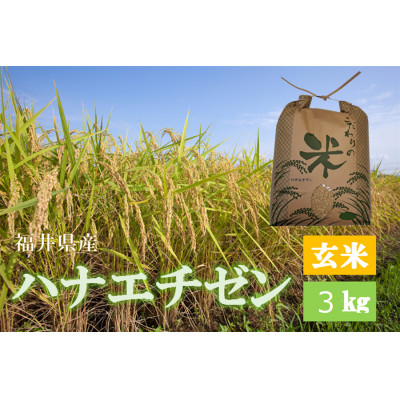 令和7年産　ハナエチゼン(玄米)　3kg【1463299】