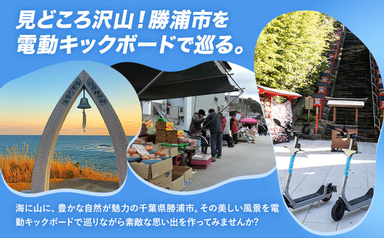 BIRD 電動キックボード 3時間 ライド 無料 ギフトコード 株式会社 Mobilco《30日以内に出荷予定(土日祝除く)》千葉県 勝浦市 電動キックボード 送料無料