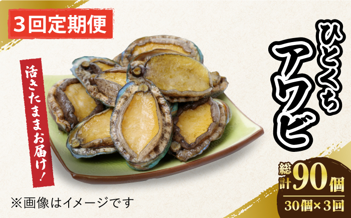 
            【全3回定期便】【活きたままお届け！】 上五島産 養殖 ひとくち アワビ 活 厳選 30個 刺身 ステーキ 生 【豊建設株式会社】 [RAE009]
          