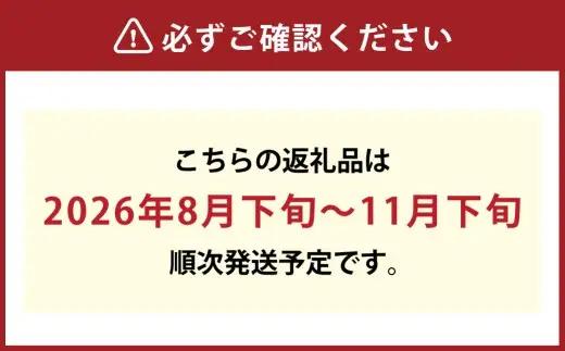 シャインマスカット晴王 約600g×1房 【2026年8月下旬～11月下旬迄発送】 岡山 種無し 種なし マスカット 果物 くだもの フルーツ ぶどう ブドウ 葡萄 冷蔵