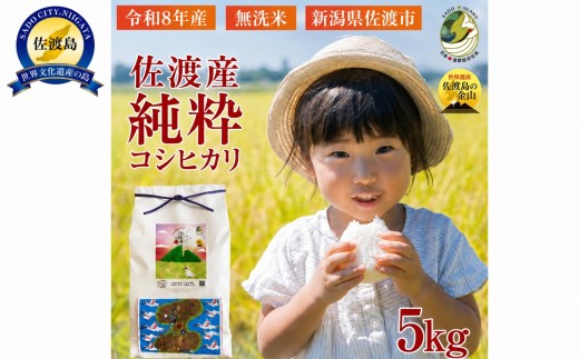 【令和8年産】佐渡産コシヒカリ 無洗米5kg 純粋コシヒカリ 数量限定 送料無料 | 新潟県産コシヒカリ 新潟産コシヒカリ こしひかり 無洗米 むせんまい お米 米 精米 コメ 5キロ にいがた 佐渡産コシヒカリ 佐渡産こしひかり ブランド米 おこめ コメ 5キロ にいがた さど 新潟県 佐渡市 新潟県産コシヒカリ 新潟産コシヒカリ こしひかり 新潟県産コシヒカリ 新潟産コシヒカリ こしひかり