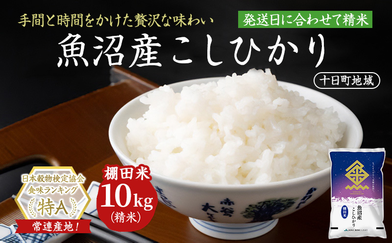 【令和8年産 先行予約】魚沼産こしひかり 棚田米(十日町地域) 精米 10kg(5kg×2) 米 お米 コシヒカリ 十日町市