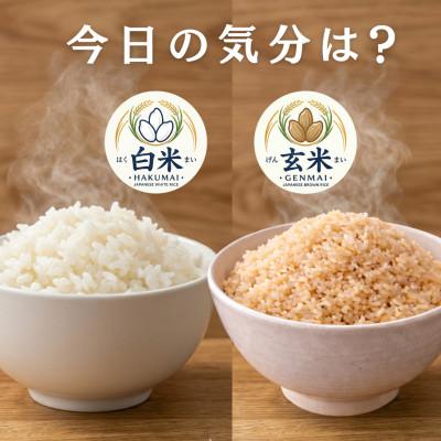 ふるさと納税 吉野ヶ里町 令和7年産　特A『さがびより』玄米5kg・白米5kg(計10kg)(吉野ヶ里町) |  | 01