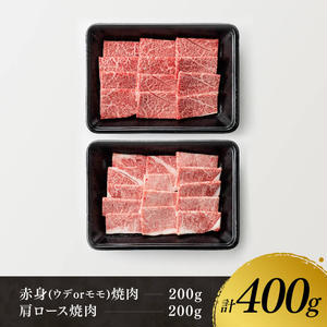 【令和7年11月発送】宮崎牛赤身(ウデorモモ)霜降り焼肉2種400g 【 肉 牛肉 国産 宮崎県産 黒毛和牛 和牛 焼肉 やきにく BBQ 4等級 A4ランク うで モモ 肩ロース ロース 】 [D