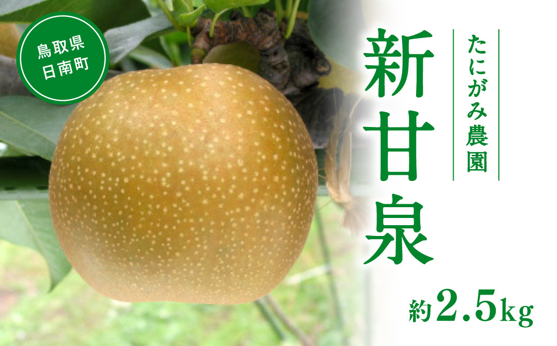 
                  【先行予約】たにがみ農園 新甘泉梨 2.5kg(5～9玉) 梨 なし フルーツ 果物 くだもの 鳥取県 佐治 梨 なし ナシ
                