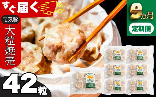 ＜毎月定期便＞元気豚 大粒肉焼売セット 42個セット(計2.1kg)全9回 mt203971_0642009