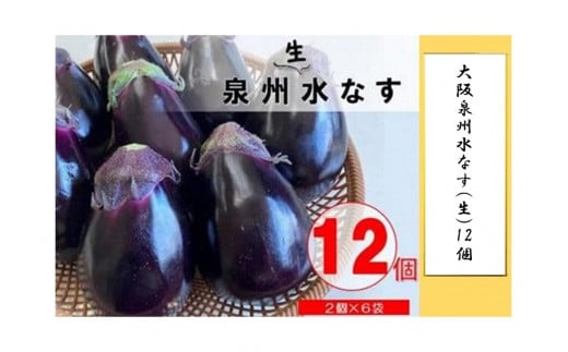 大阪 泉州 水なす 生 12個 | 茄子 ナスビ なすび なす 水茄子 水なす 水ナス 野菜 やさい 人気 おすすめ