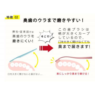 ふるさと納税 海南市 【和歌山県海南市で製造】奥歯のウラまでしっかり磨ける穴の開いた歯ブラシ　12本組 |  | 03
