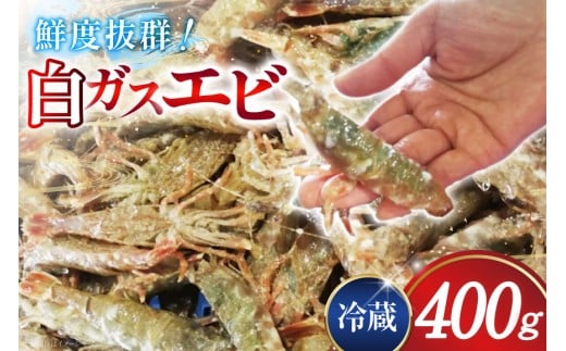極上激甘！白ガスエビ 冷蔵 400g [小川水産 石川県 志賀町 CM6004] ガスエビ ガス海老 がすえび クロザコエビ