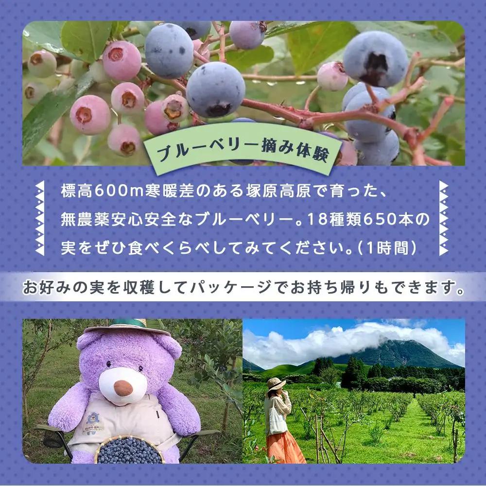 【湯布院 熊谷牧場・雛戸】施設内なんでも使える！ブルーベリー・キャンプガーデン ご利用補助券 6,000円分