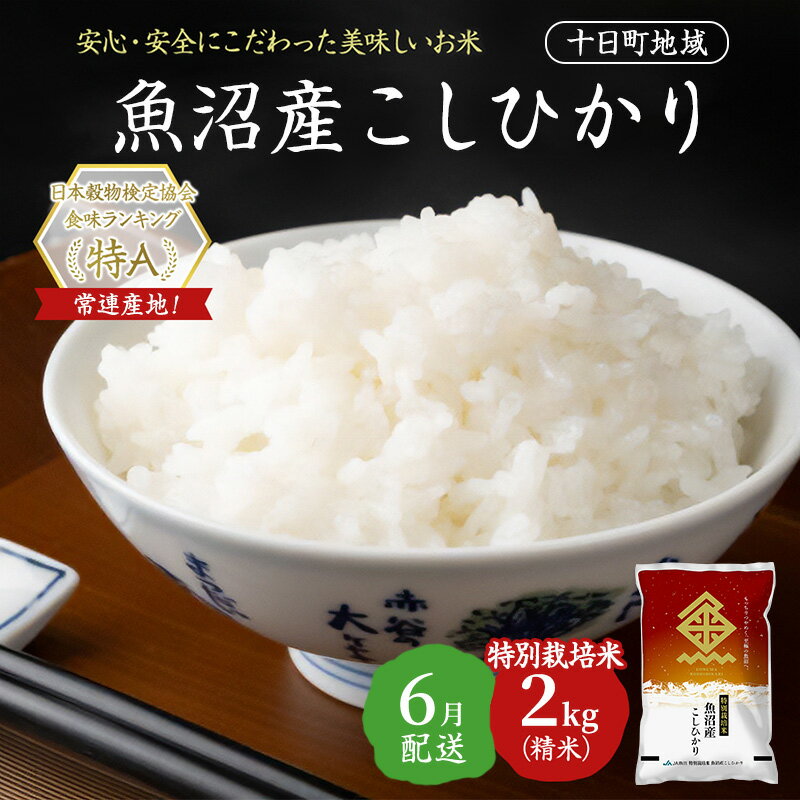 【ふるさと納税】【令和7年産米】特別栽培米 魚沼産こしひかり(十日町地域) 精米 2kg 6月配送 お米 精米 こめ ご飯 白米 特別栽培 旧：五郎兵衛　お届け：2026年6月上旬～6月下旬