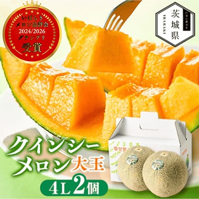 【先行受付】令和9年5月順次発送 茨城県鉾田市 山一ファーム クインシーメロン 大玉4L～5L・2玉【配送不可地域：離島・沖縄県】