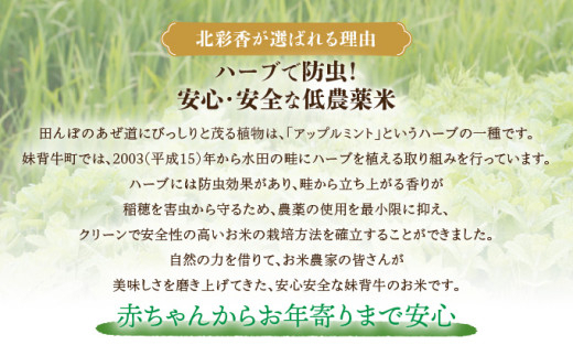 定期便 令和8年産 妹背牛産【北彩香（ゆめぴりか）】玄米10kg×全3回 2027年3月発送