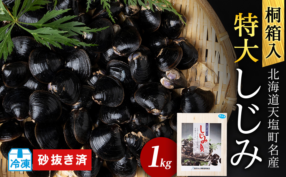 復活！天塩町名産冷凍しじみ「特大貝桐箱入り」１ｋｇ＜北るもい漁業協同組合　天塩支所＞