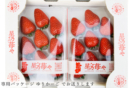 いちご 奈良県ブランドいちご 古都華2パック2月発送