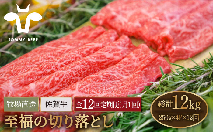 【牧場直送】【12回定期便】佐賀牛 至福の切り落とし 1000g（250g×4パック）【有限会社佐賀セントラル牧場】 [IAH096]