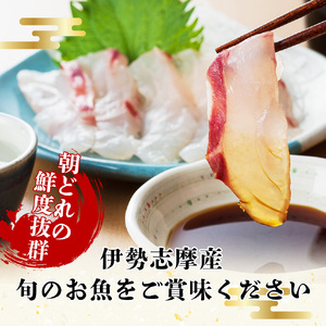 刺身 詰め合わせ 2～3種 約800g 刺身盛り