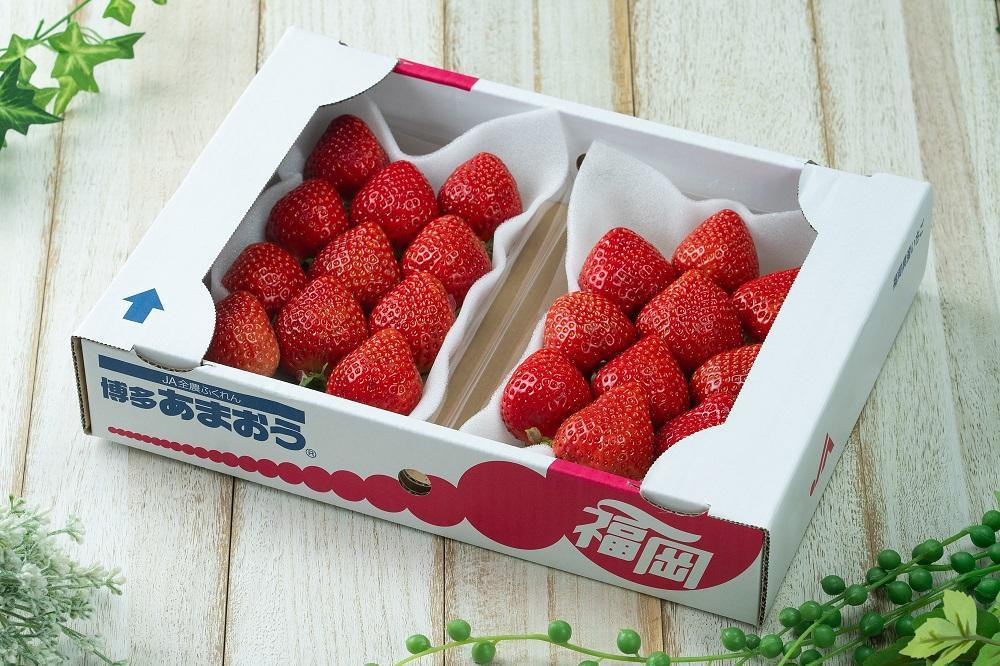フルーツソムリエが選んだ 福岡県産冬あまおう２パック※一部離島不可【1パックあたり250g】