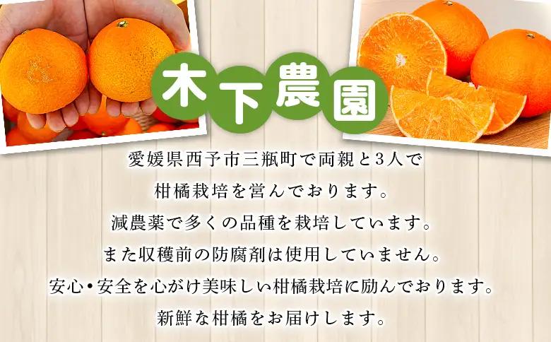 ＜木下さんちの100％みかんジュース 6本＞『2026年10月迄に順次出荷』ミカン 蜜柑 果物 くだもの フルーツジュース ストレートジュース 果汁 柑橘 濃厚 甘い 贈り物 プレゼント 木下農園 愛