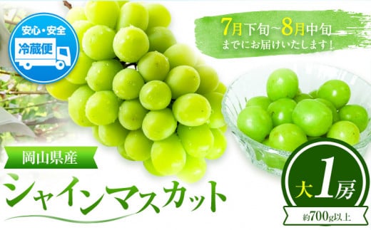 ぶどう 葡萄 岡山県産 シャインマスカット 大1房 (約700g以上) 佐々木農園《7月下旬-8月中旬頃出荷》岡山県 笠岡市 送料無料 マスカット フルーツ 果物 ブドウ お取り寄せフルーツ【配送不可地域あり】 st-p