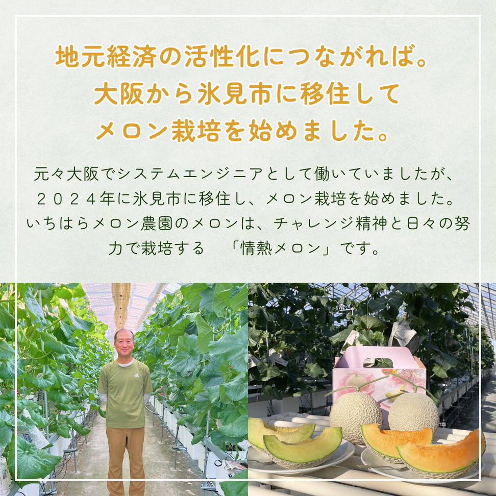 【訳あり】富山県産 アールスメロン（おまかせ計2個） 富