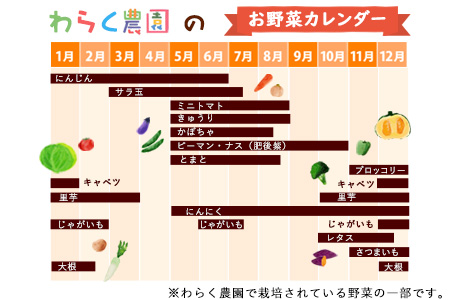 季節のおまかせ『夏』野菜セット 3～8品目程度 わらく農園《6月中旬-7月中旬頃出荷》熊本県 葦北郡 津奈木町 野菜 野菜セット