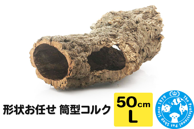 
形状お任せ 筒型コルク Lサイズ 長さ50cm エアプランツ 着生植物
