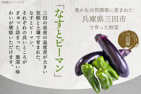 三田で育ったなすとピーマンのビーフシチュー 100食入 [コスモス食品 兵庫県 三田市 3d28bae190076]