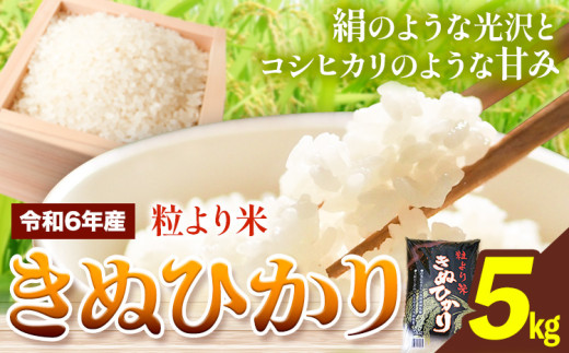 令和6年産 粒より米 きぬひかり 5kg JA紀州 さわやか日高《90日以内に出荷予定(土日祝除く)》 和歌山県 日高川町 米 こめ コメ きぬひかり キヌヒカリ 送料無料 精米