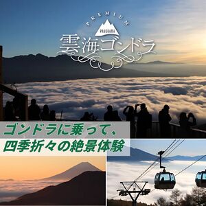 富士見パノラマリゾート ゴンドラ往復券 大人チケット 1枚 日本百名山 八ヶ岳・南アルプス一望 景観絶景 クーポン券 サービス券 ゴンドラ チケット 信州 着日指定不可 長野県富士見町